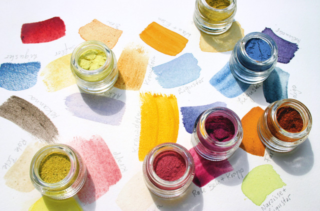 schaeresteipapier: Buch - Werkstatt Pflanzenfarben